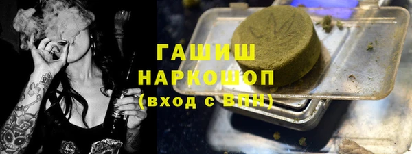 прущие грибы Белокуриха