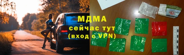 прущие грибы Белокуриха