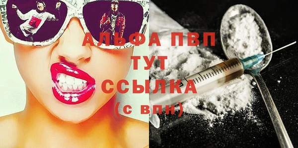 прущие грибы Белокуриха