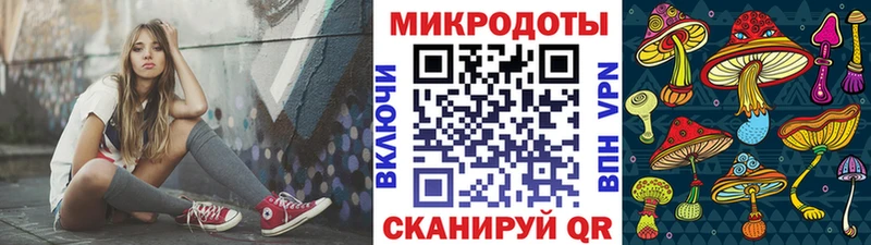 Псилоцибиновые грибы Psilocybe  Заозёрный 